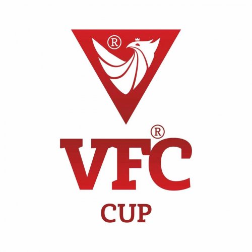Логотип организации Victory Cup